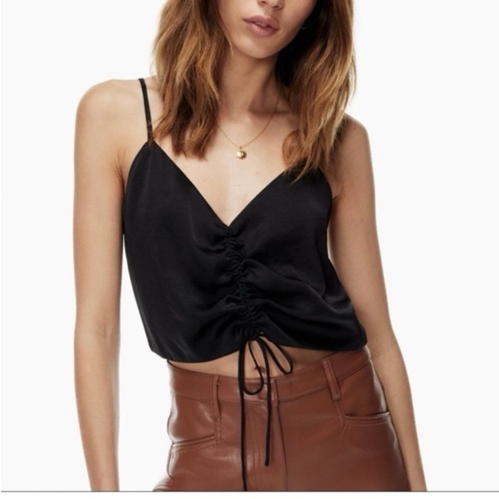 EUC Aritzia Wilfred Verso Ruched Crop Top